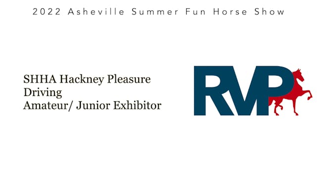 ASF22 - Class 26 - SHHA Hackney Pony ...