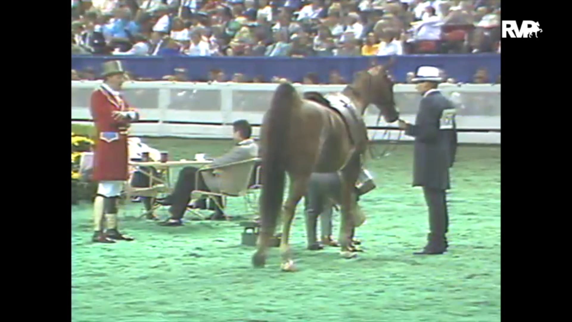 1993 WCHS Class 155 Junior Five Gaited Championship