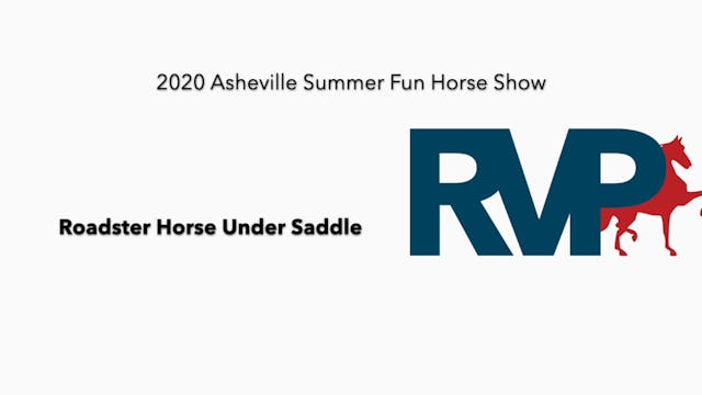 2020 ASF - Class 26 Roadster Horse Un...