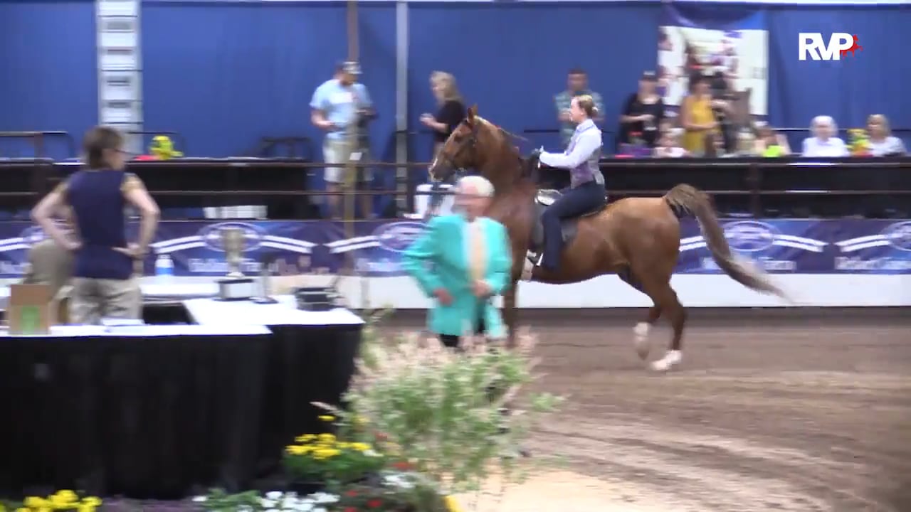 MC16- Saturday Matinee