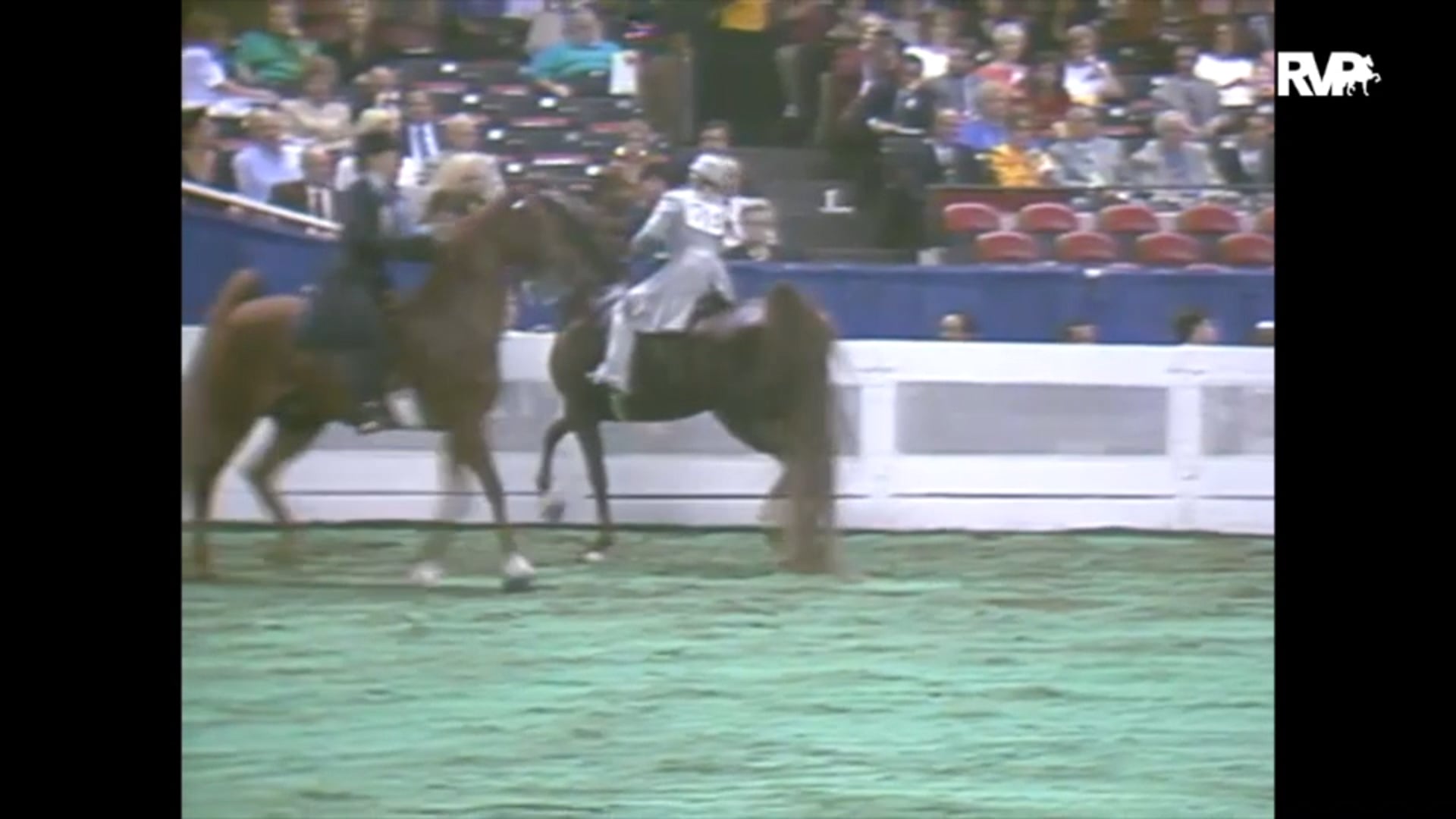 1993 WCHS Class 169 Ladies Five Gaited Championship