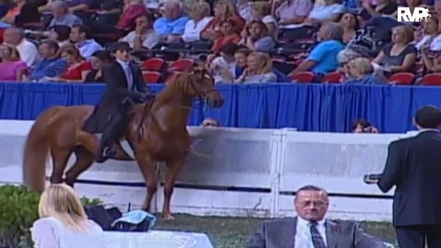 2009 World's Championship Horse Show ...