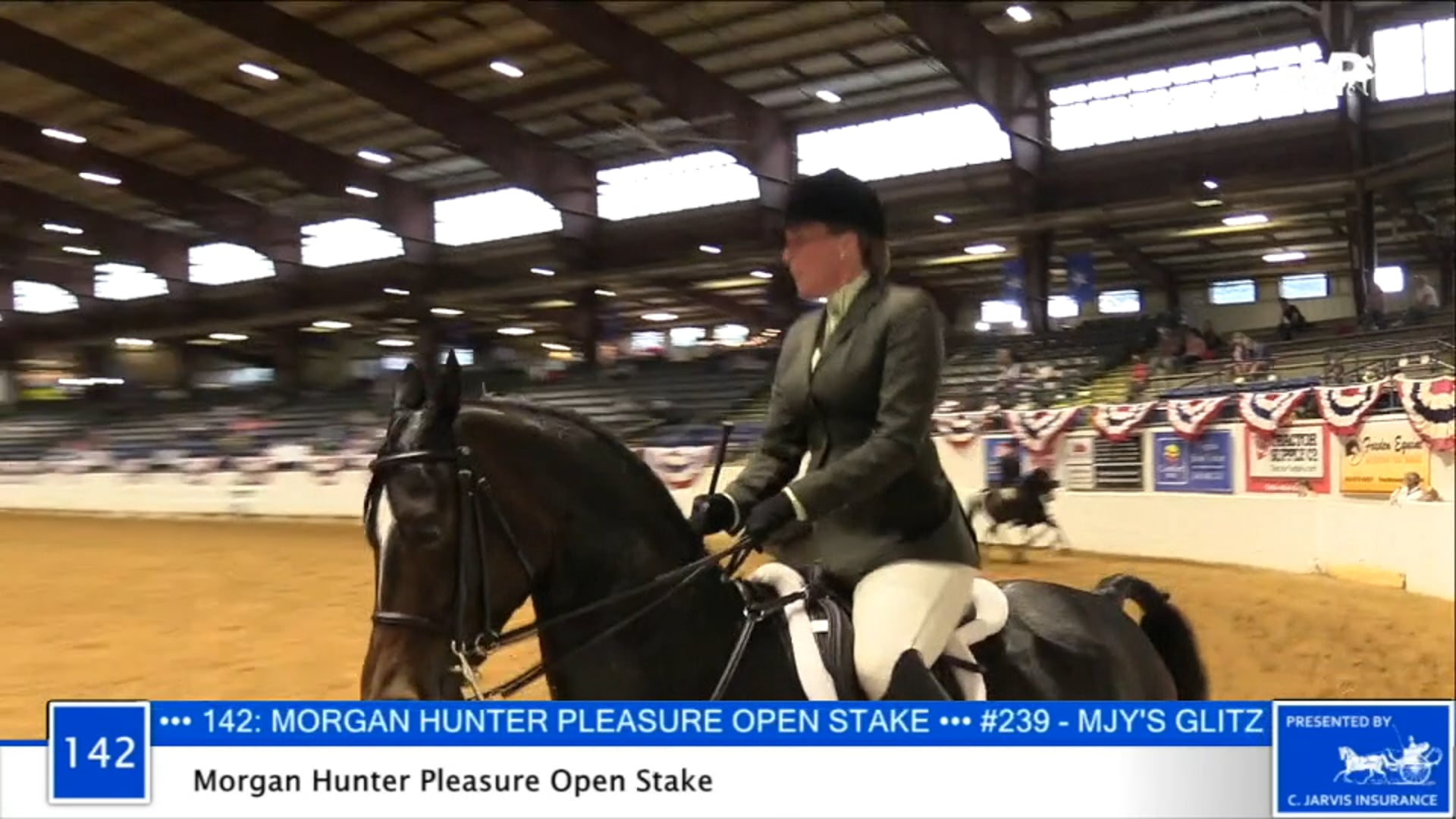 2020 BB - Class 142 Morgan Hunter Pleasure Open Stake