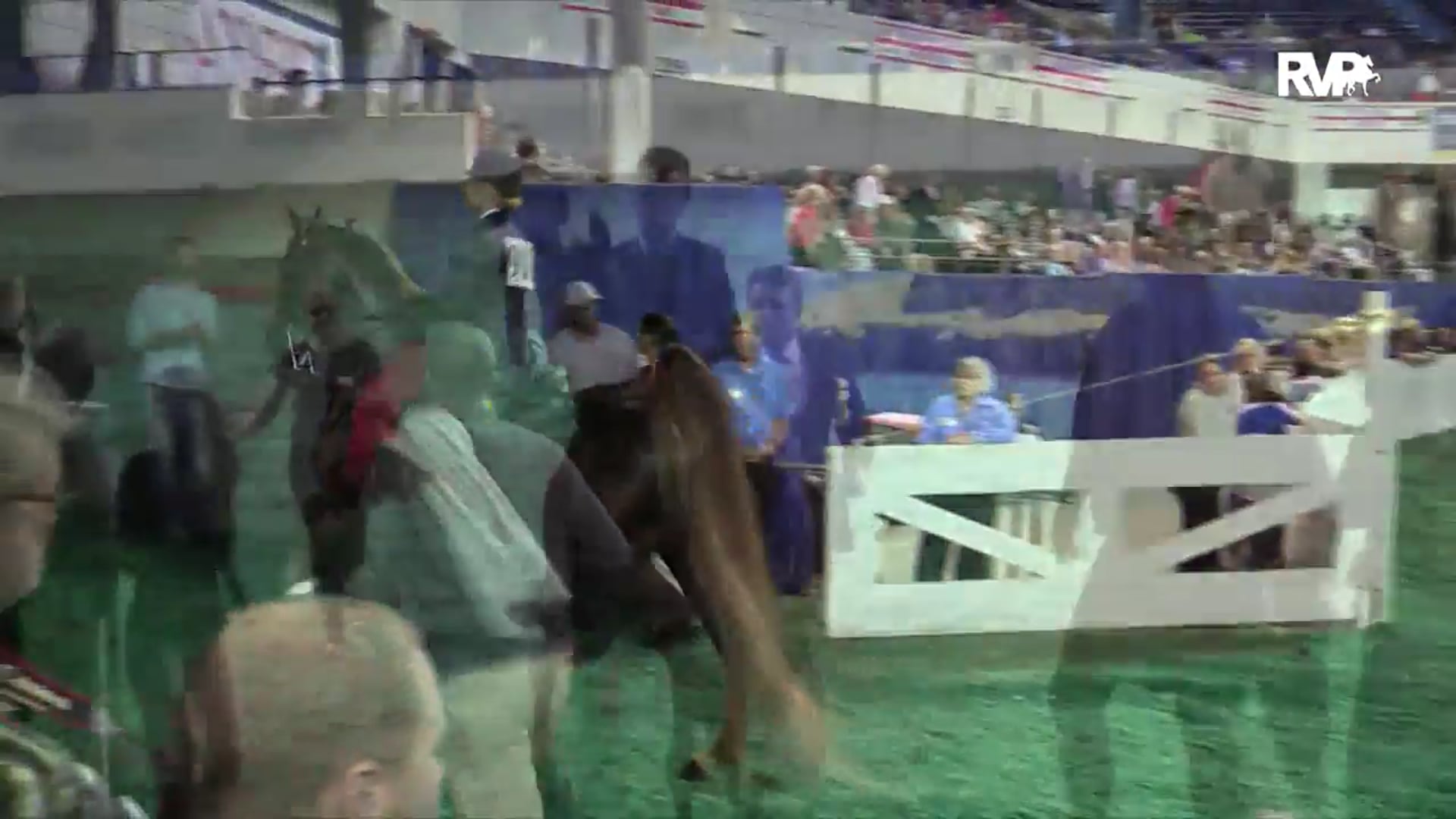 WCHS15 - Elisabeth Goth - Five Gaited Ladies World's Grand Champion