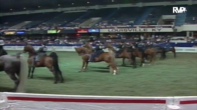 2000 WCHS Class 203 Equitation Kentuc...