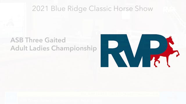 BR21 - Class 151 - ASB Three Gaited A...