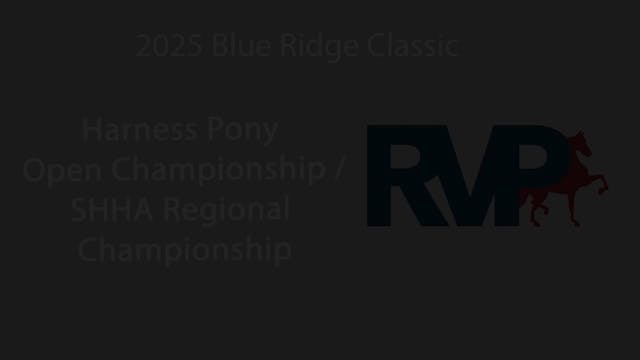BRC25 - Class 208 - Harness Pony Open...