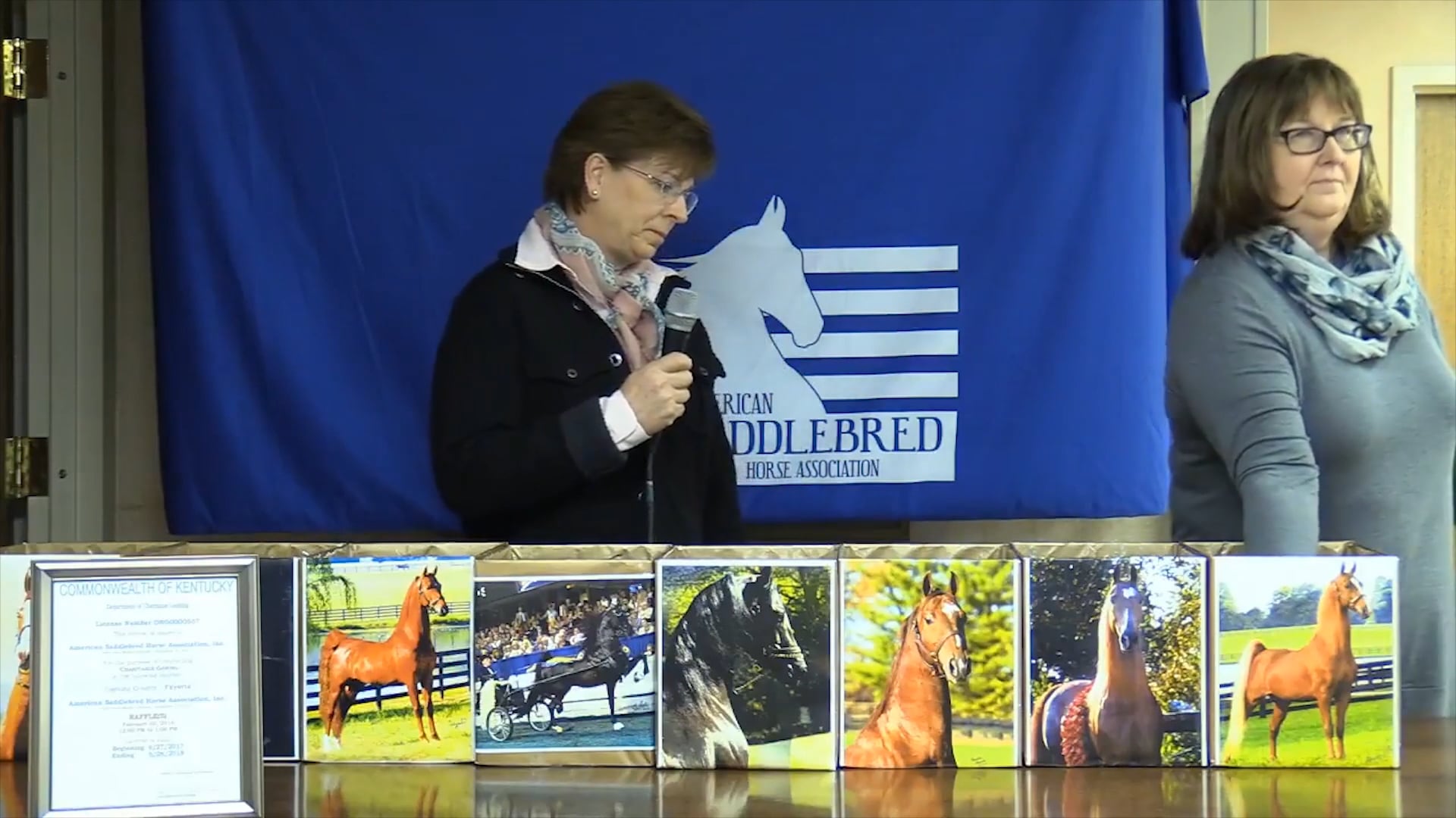 Stallion Sweeps Drawing 2018