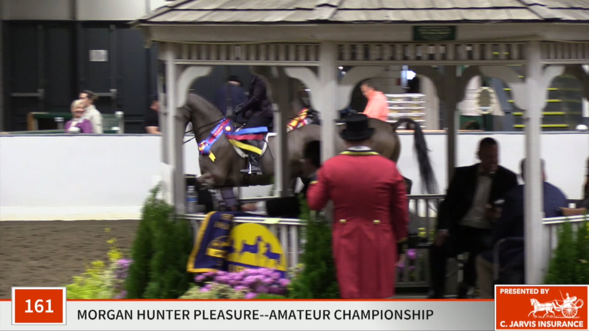 UPHA14-19 - Class 161 - Mt Pleasant Echos Quality GCH Championship