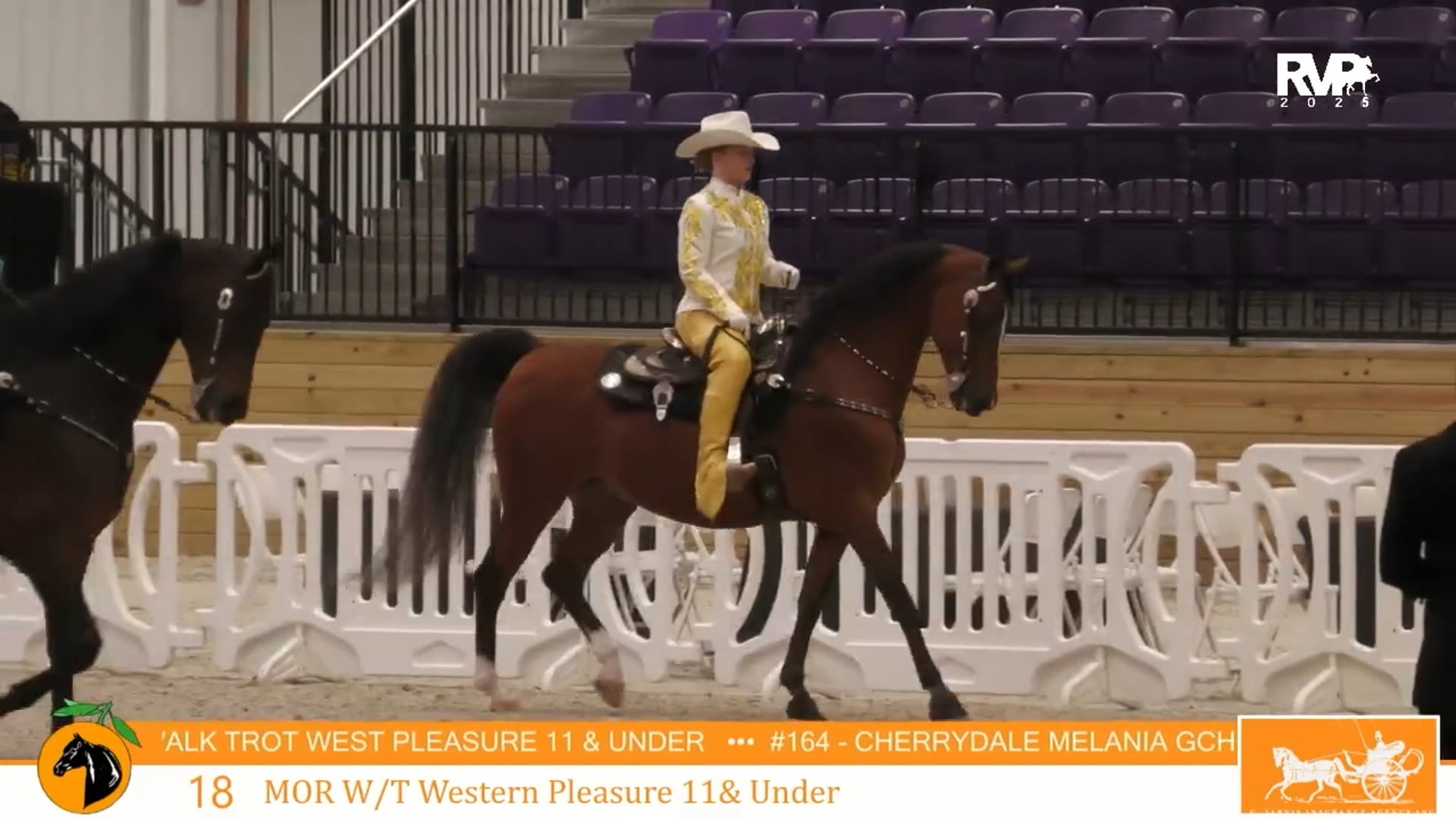CC25 - Class 18 - Morgan W-T Western Pleasure 11 & Under