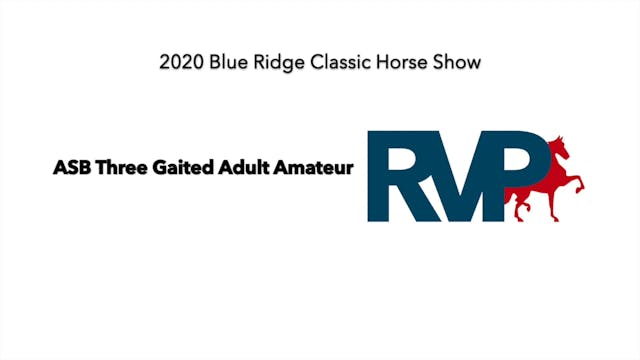 BR20 - Class 79 ASB Three Gaited Adul...