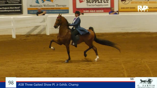 Sc22 - Class 98 - ASB Three Gaited Sh...