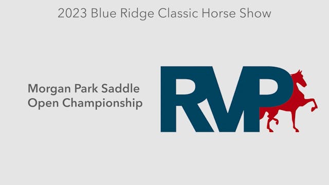 BR23 - Class 212 - Morgan Park Saddle...