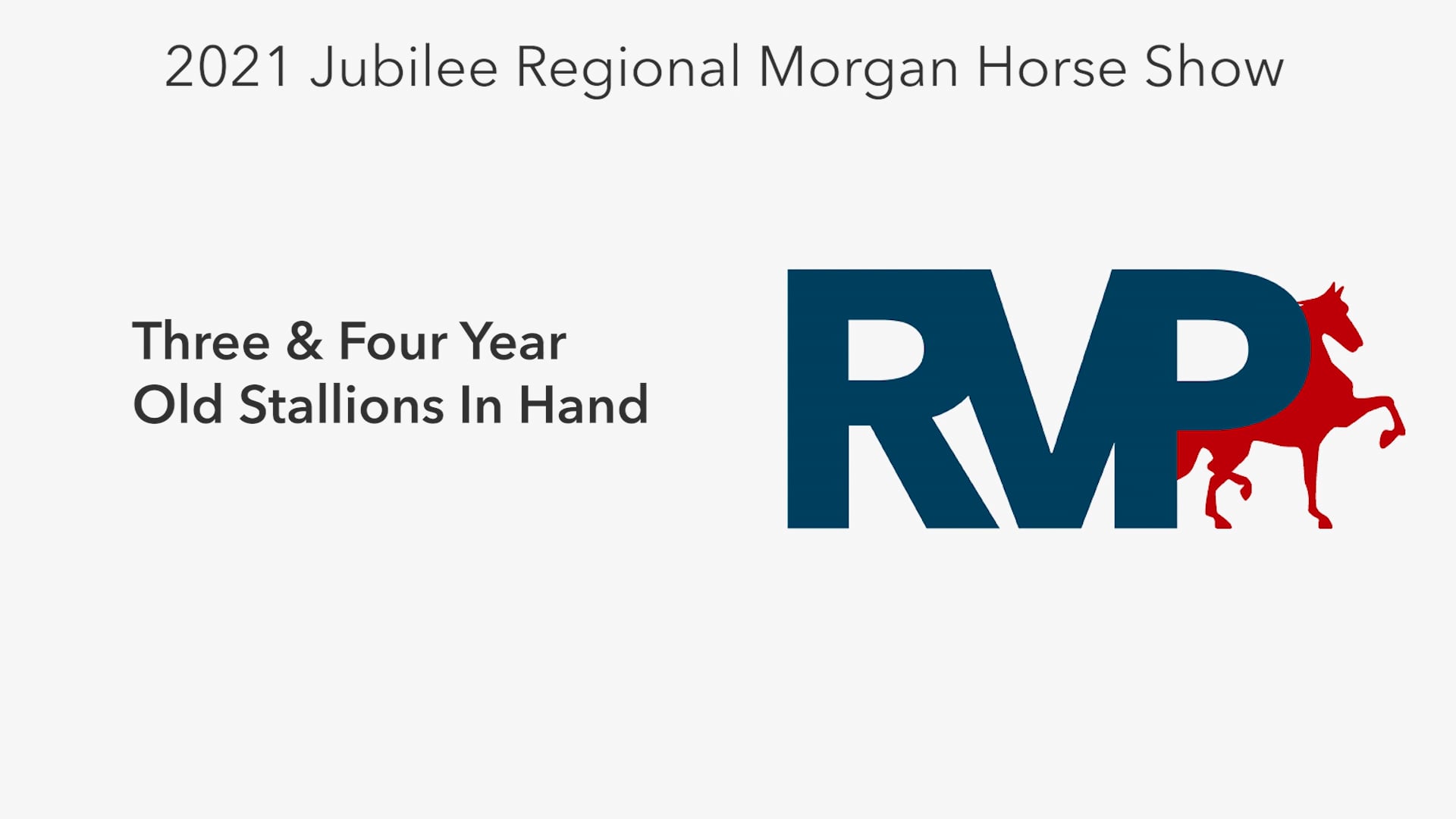 MJ21 - Class 22 - Three & Four Year Old Stallions In Hand