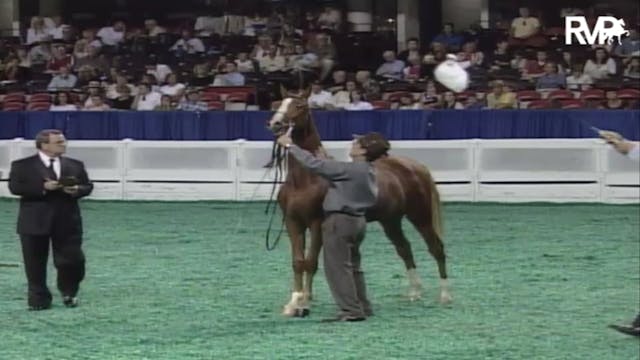 2007 WCHS Class 7 ASR Futurity Of Ken...