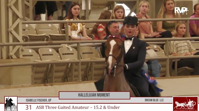 MW25 - Class 31 - ASB Three Gaited Am...