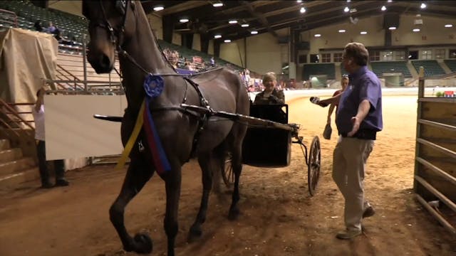 ProAm19 - Class 97 - Soquili's Star O...