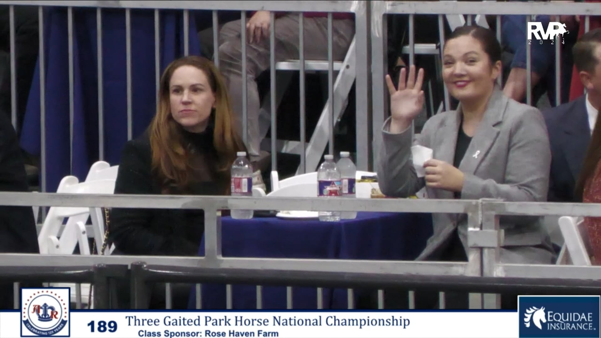AR24 - Class 189 - Three Gaited Park Horse National Championship