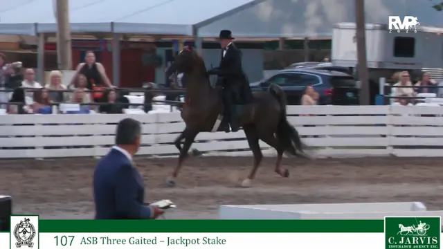 RC26 - Class 107 - ASB Three Gaited J...