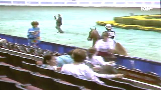 1991 WCHS Class 92 ASHA National Thre...