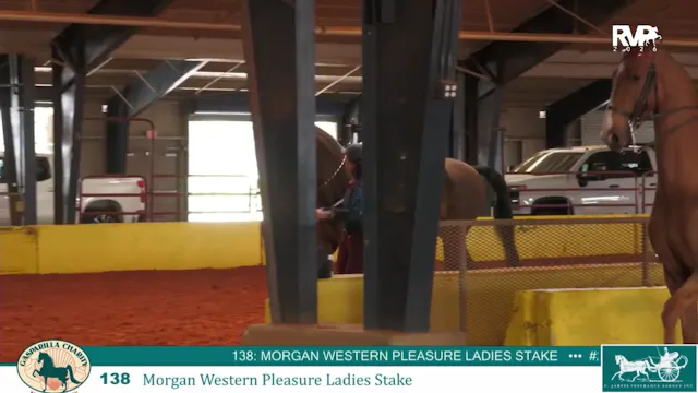 GC26 - Class 138 - Morgan Western Ple...