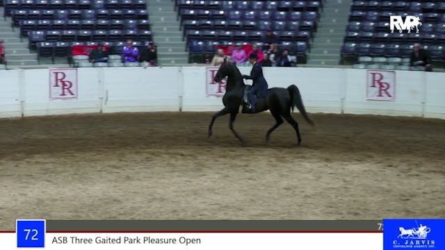 RR22 - Class 72 -  ASB Three Gaited P...