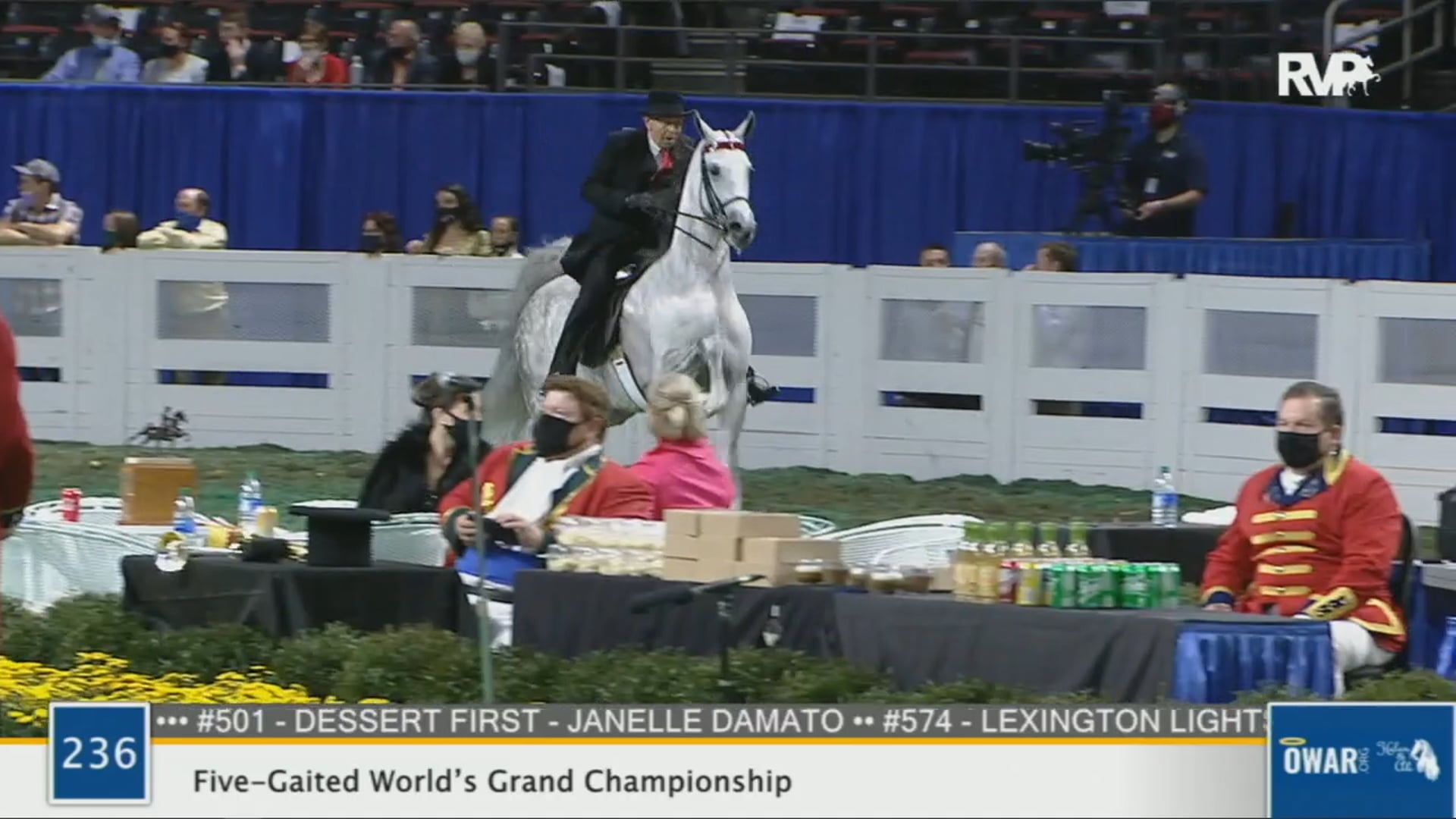 WCHS 2020 Class 236 - Five-Gaited World’s Grand Championship