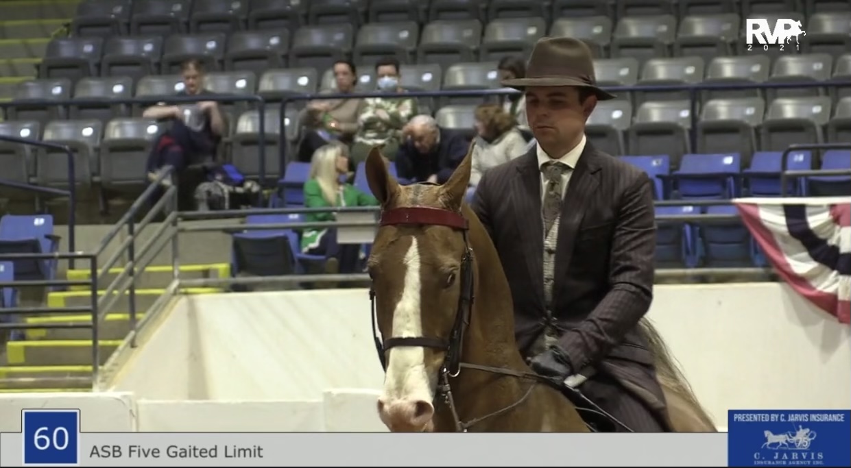 BB21 - Class 60 - ASB Five Gaited Limit