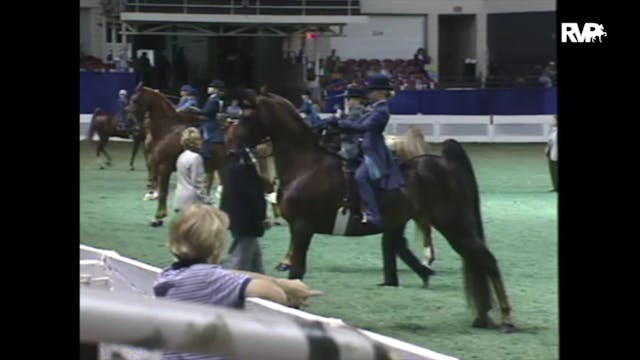 1997 WCHS - Class 98 UPHA Walk Trot 8...