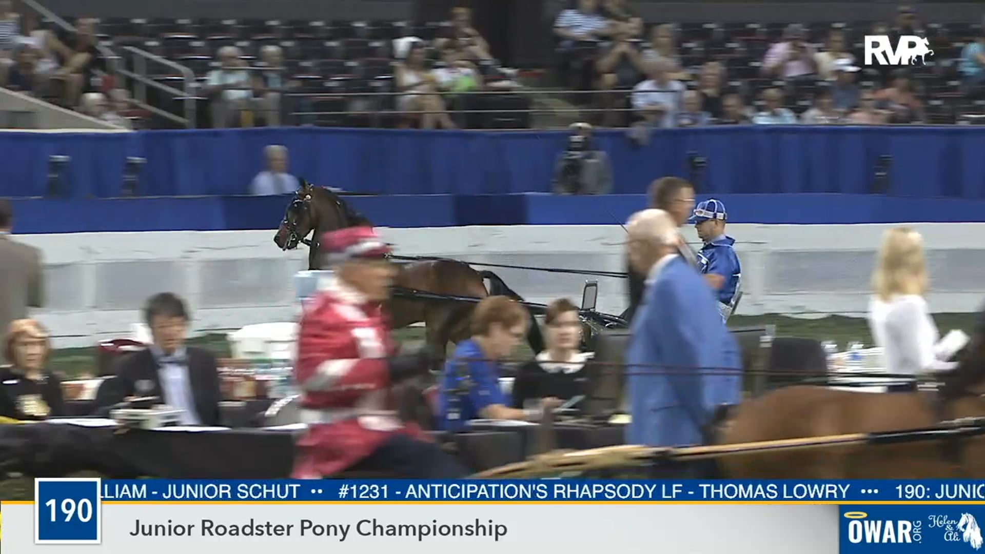 2019 WCHS - Class 190 Junior Roadster Pony Championship