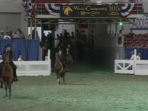 2008 WCHS Class 85 Junior Exhibitor 1...