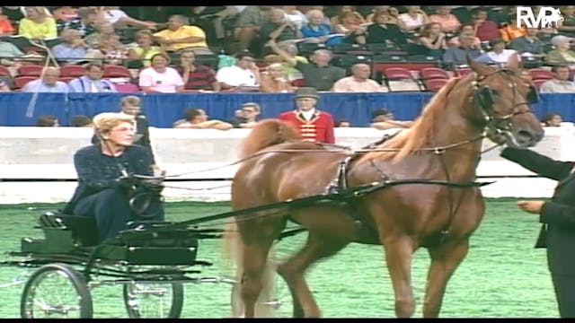 2003 WCHS Class 4 Junior Fine Harness...