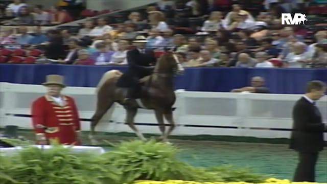 2000 WCHS Class 50 Junior Five Gaited...