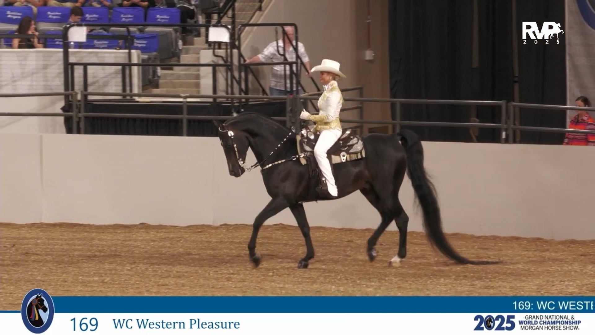 MGN25 - Class 169 - WC Western Pleasure