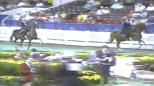 1991 WCHS Class 19 Junior Five Gaited...
