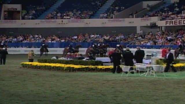 2002 WCHS Class 137 Five Gaited Geldi...