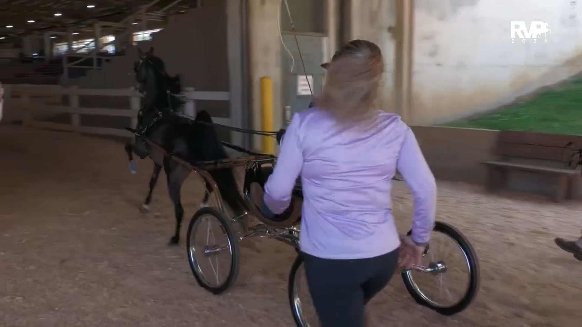 ASC26 - Class 97 - Harness Pony Jr Pony