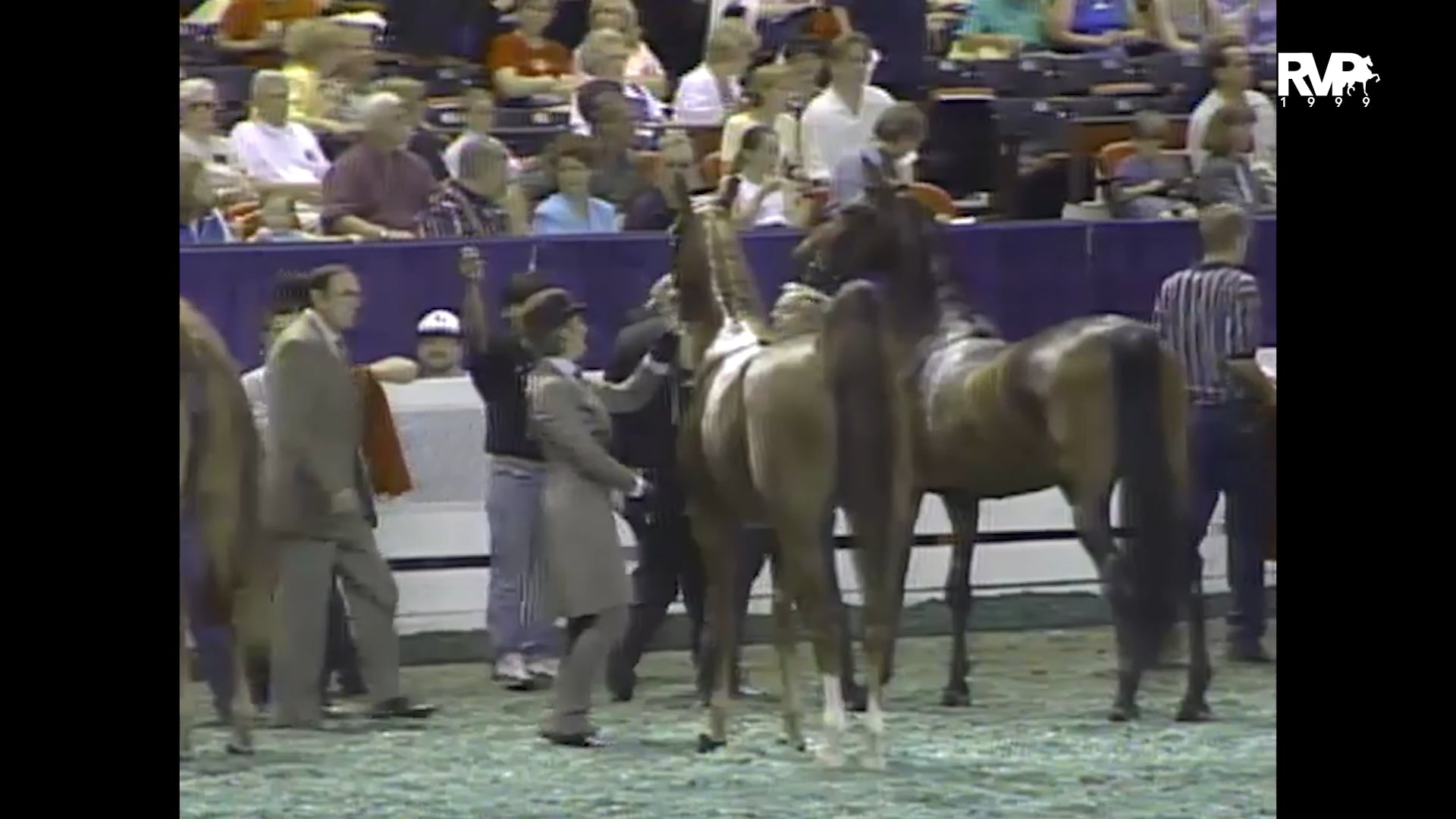 1999 WCHS - Class 171 ASHA National Three Year Old Futurity Three Gaited Park Pleasure Championship