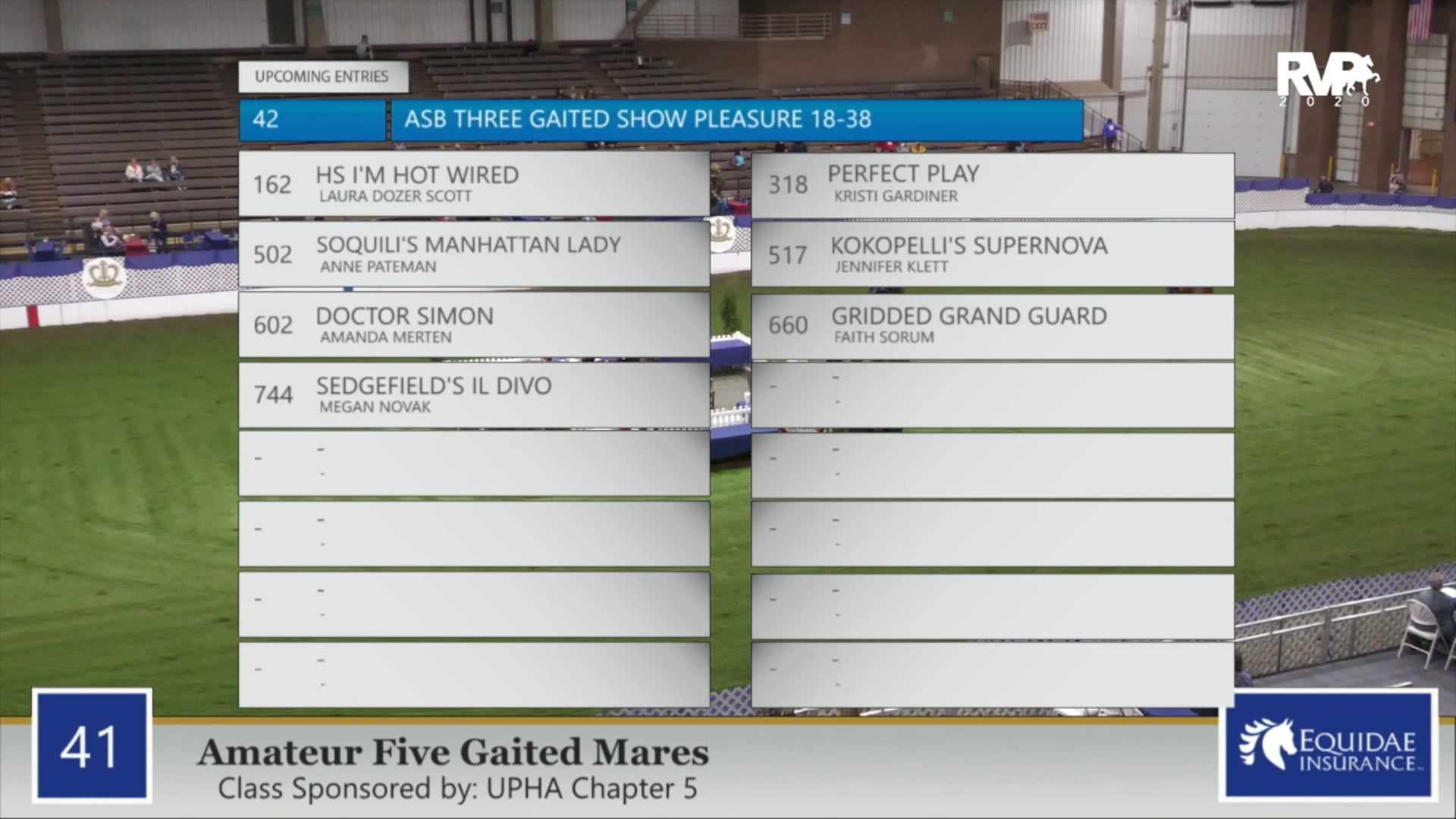 2020 AR - Class 41 Amateur Five Gaited Mares