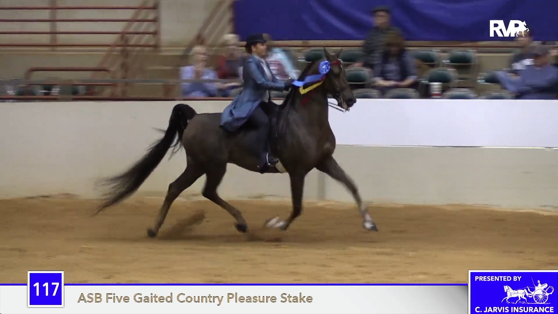 PA18 Class 116 Undulata's Cheekie Nut