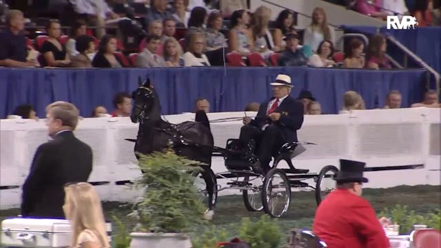 2012 WCHS - Class 146 Hackney Pony Stake