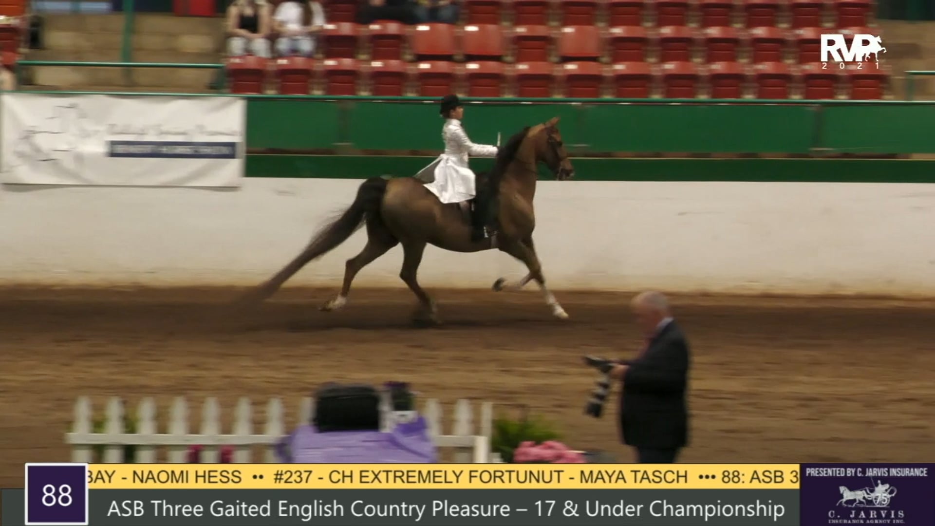 RSP21 - Class 88 - ASB Three Gaited English 
Country Pleasure 17 & Under
Championship