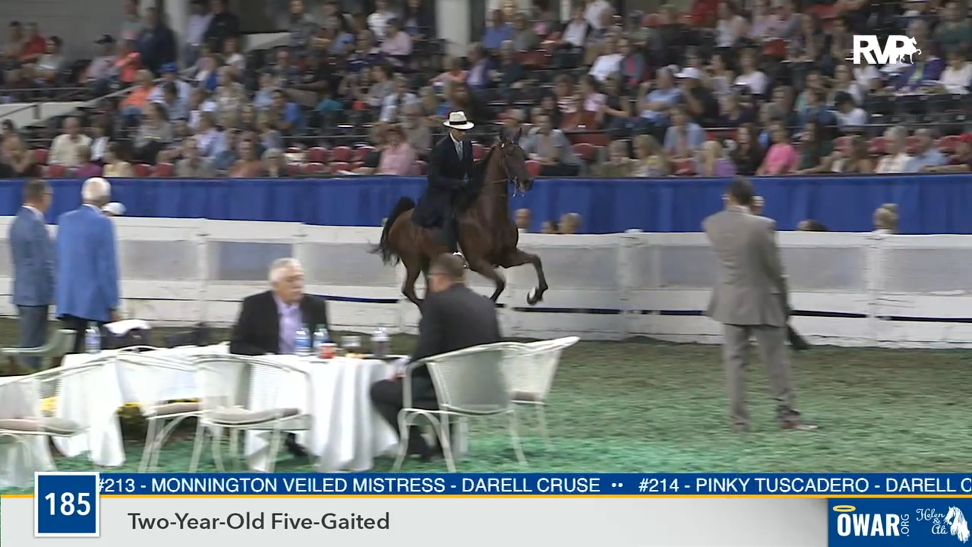 2019 WCHS - Class 185 Two Year Old Five Gaited 