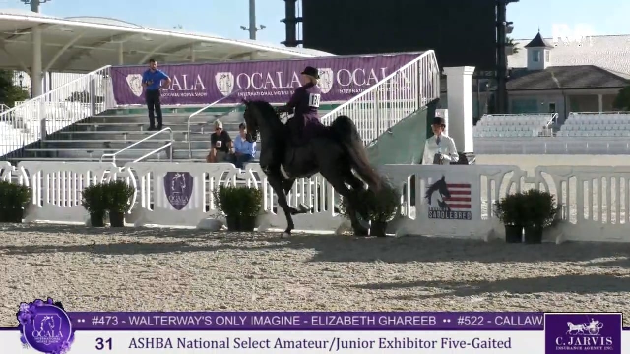 2025 Ocala International Horse Show - Wednesday Morning