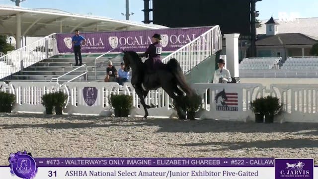 2025 Ocala International Horse Show -...