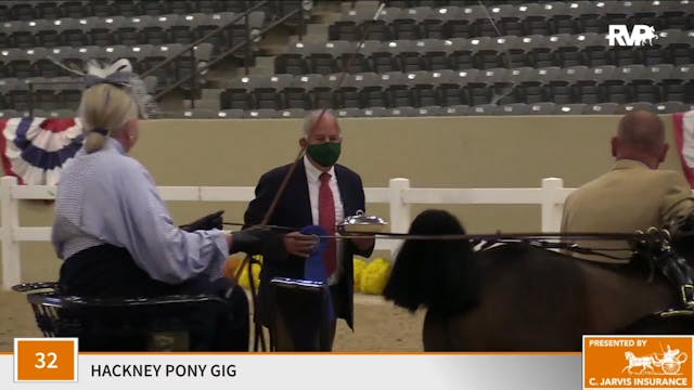 KFC 2020 - Class 32 Hackney Pony Gig