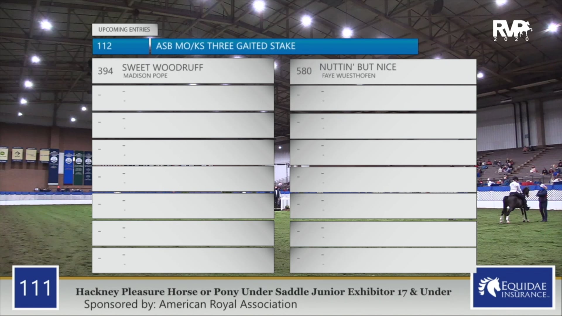 2020 AR - Class 111 Hackney Pleasure Horse:Pony Under Saddle