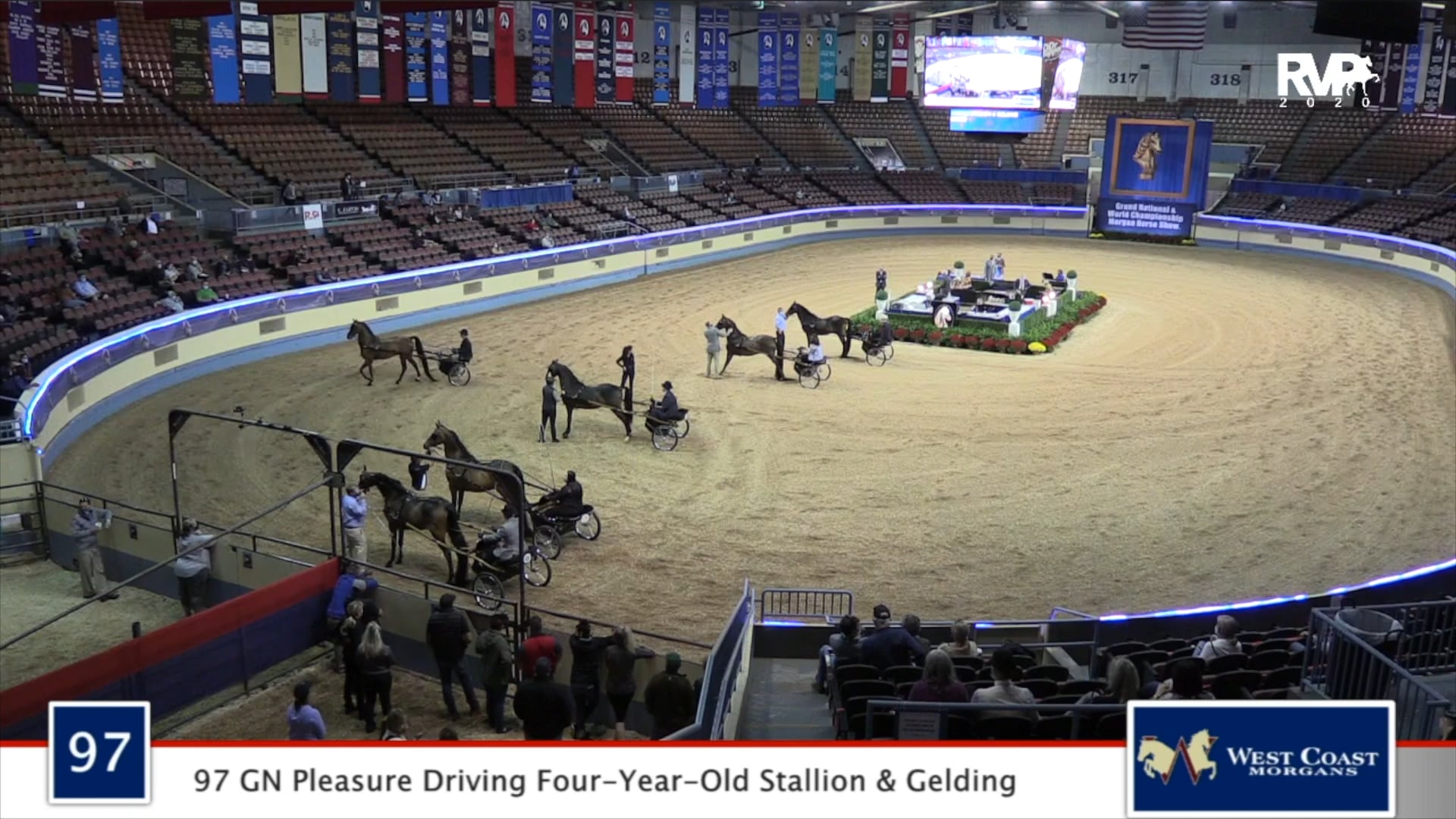 2020 MGN - Class 97 GN Pleasure Driving Four-Year-Old Stallion & Gelding