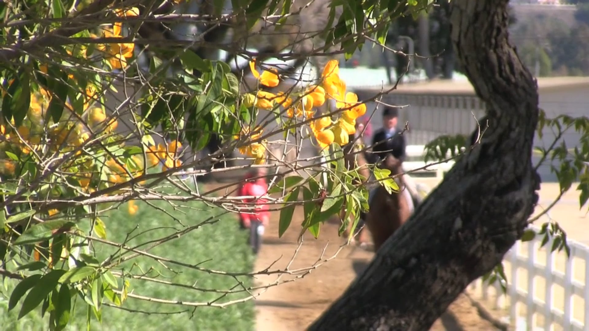 Jingle Bells 2019 Day ONE