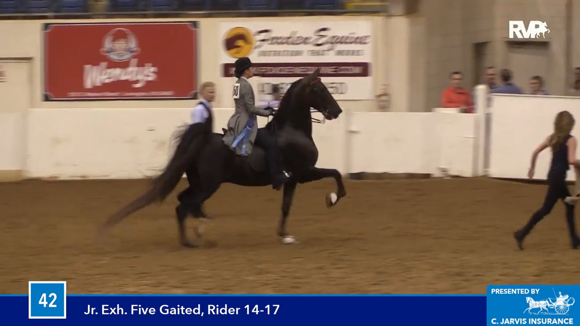 BB16 - Junior Exhibitor Five Gaited 13 & Under